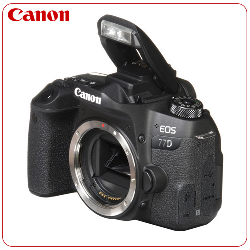 دوربین 77D | دوربین عکاسی کانن Canon EOS 77D BODY - فروشگاه کانن