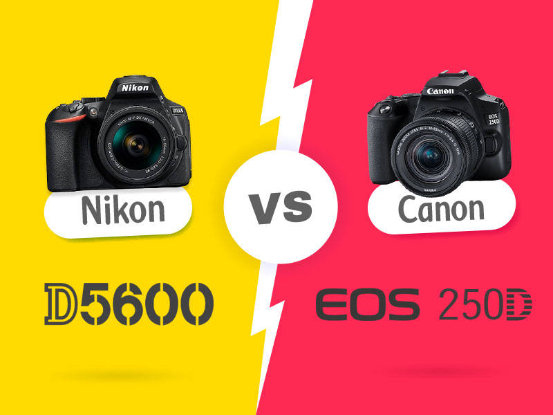 دوربین‌های Nikon D5600 و Canon 250D